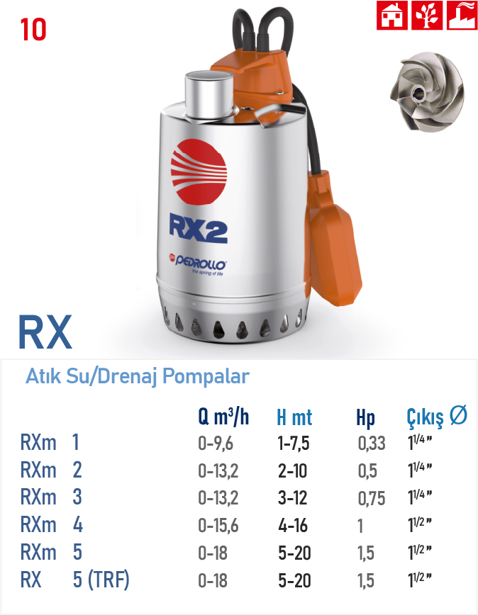 RX 5 (TRF)