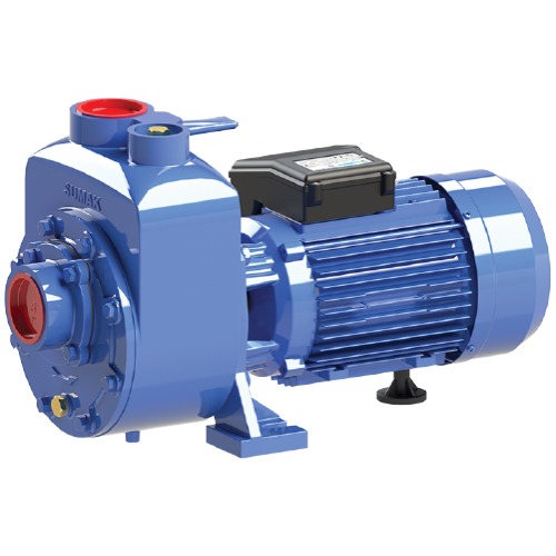 DSMT 220/2
